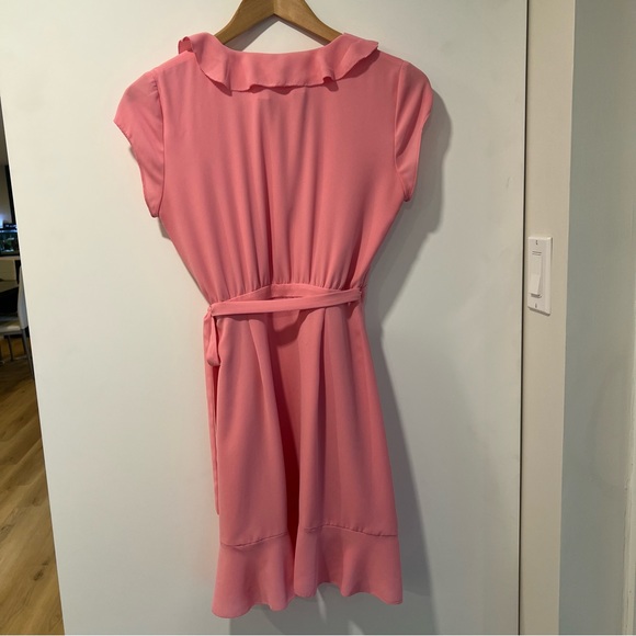 ARITZIA SUNDAY BEST Savoy Dress in Gemini Pink - Picture 6 of 9